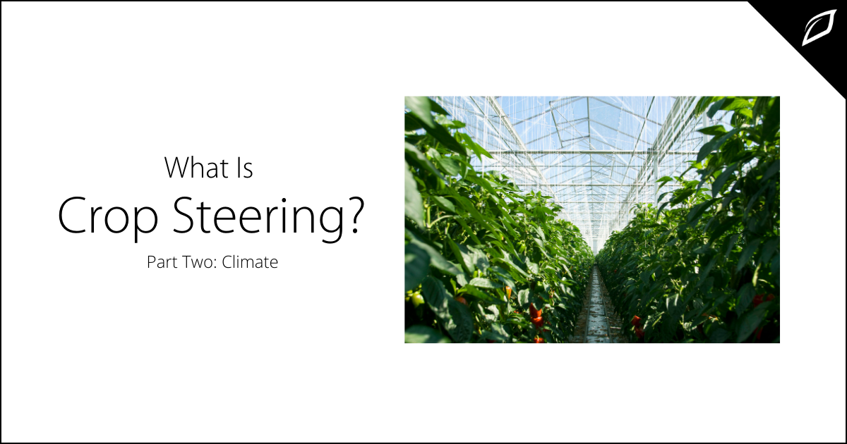 what-is-crop-steering-part-two-climate